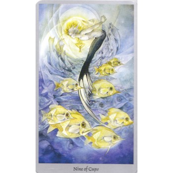 Shadowscapes Taro kortos ir knyga (rinkinys) Llewellyn